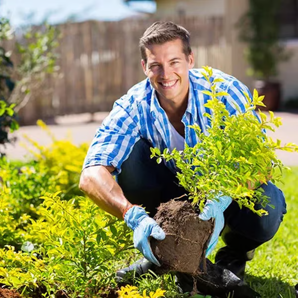 Oplosmiddel voor Bodemverbetering en Plantengroei