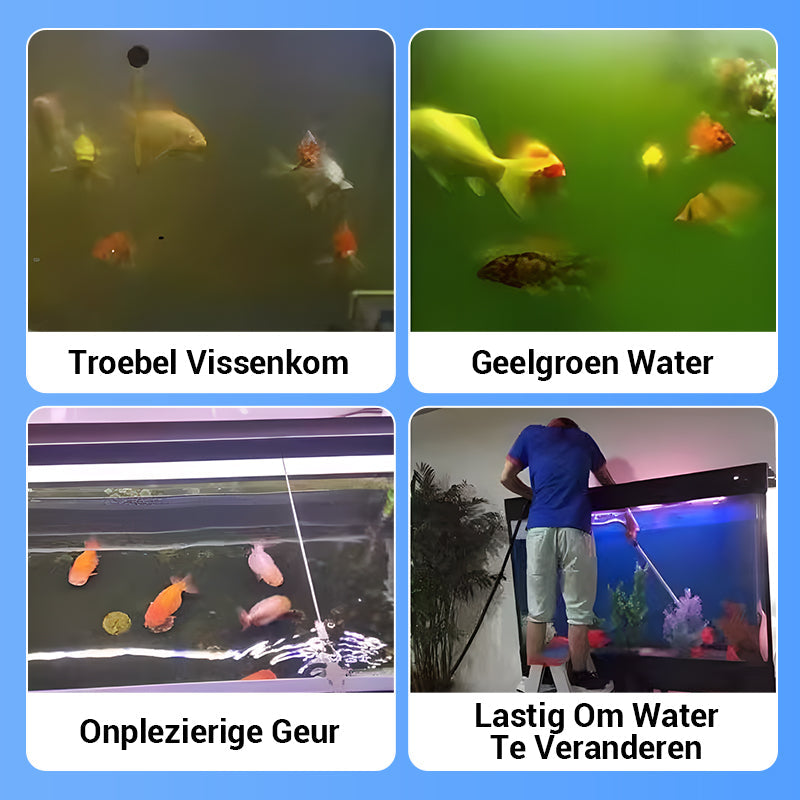 Waterzuiveringstablet voor Aquarium met Reinigende Werking