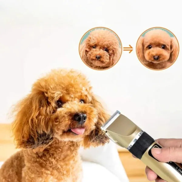 Draadloze geluidsarme dierentrimmer met opzetkammen