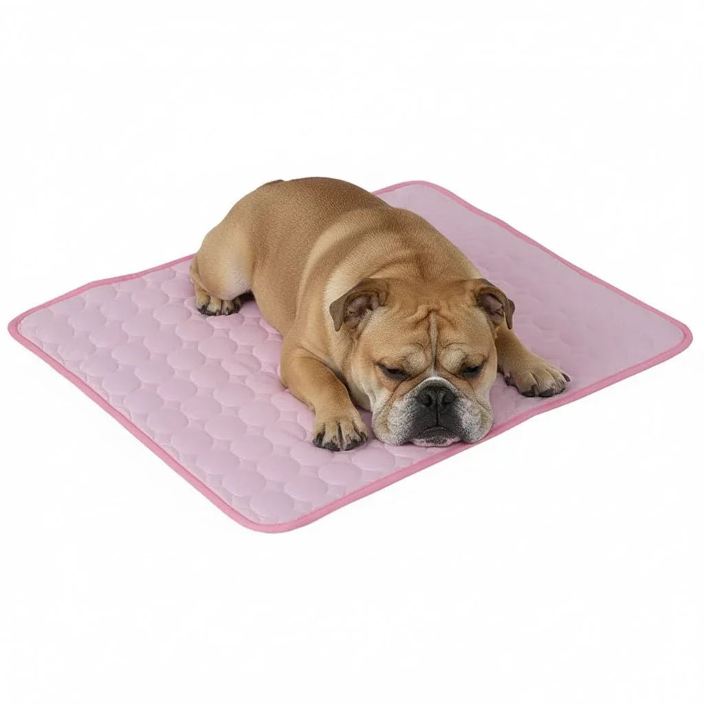 Ademende koelmat voor honden en katten