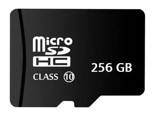 Micro SD Kaart 256 GB Class 10 + SD Adapter