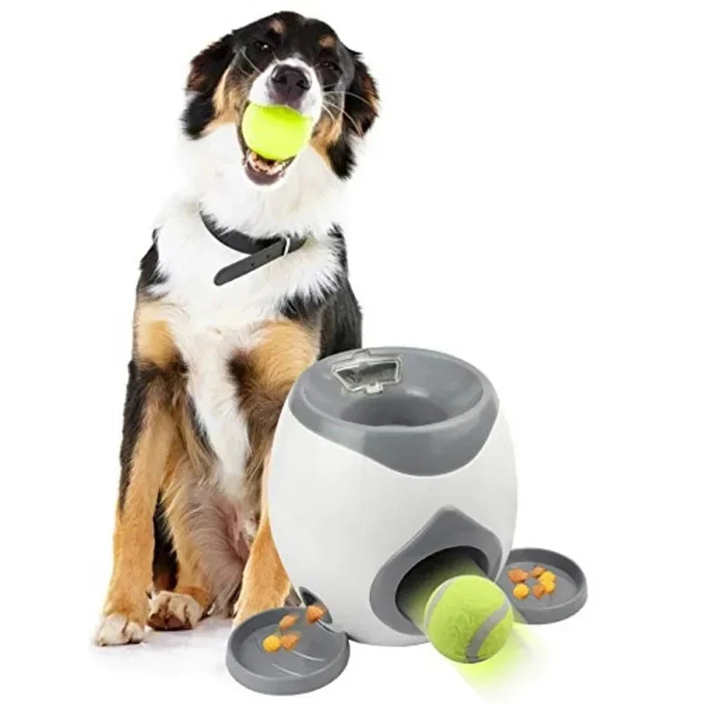 Automatische ballenwerper met beloningssysteem voor honden