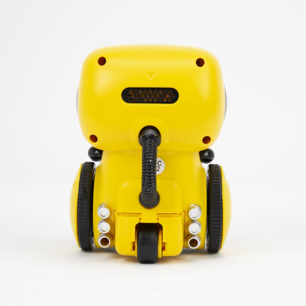 Interactieve mini dansrobot met spraakbesturing en geluidsopname