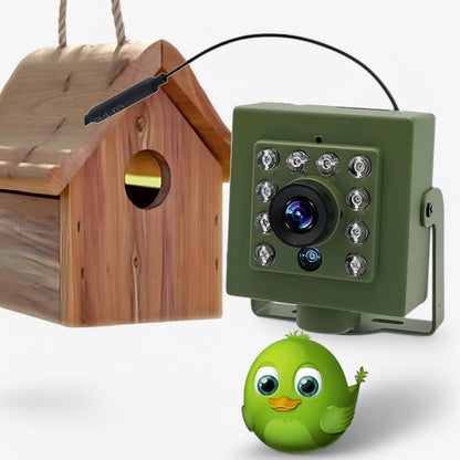 Wifi vogelcamera voor nestkast met nachtzicht