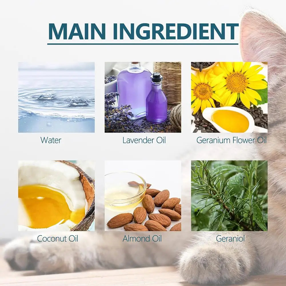 Plantaardige verzorgingsolie voor katten van 50 ml met handige druppelaar
