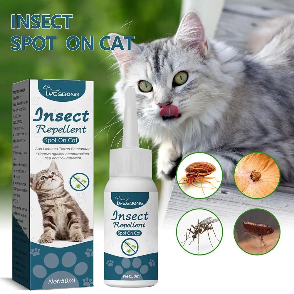 Plantaardige verzorgingsolie voor katten van 50 ml met handige druppelaar