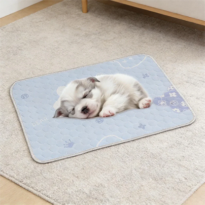 Koelmat voor honden en katten met ademend ice-silk