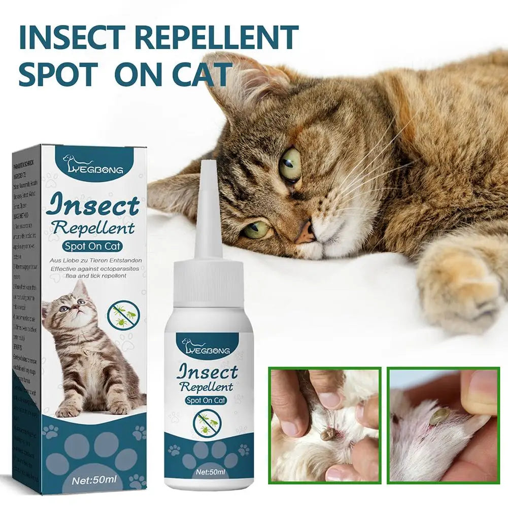 Plantaardige verzorgingsolie voor katten van 50 ml met handige druppelaar