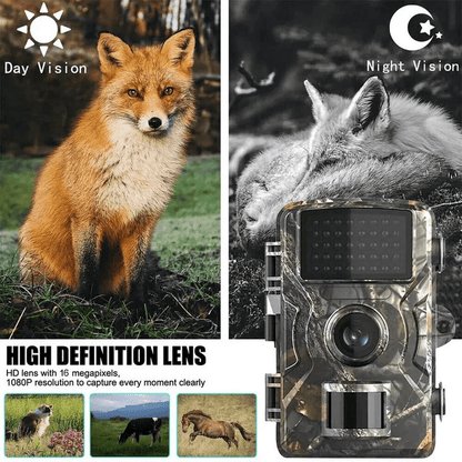 Wildcamera met nachtzicht en bewegingssensor