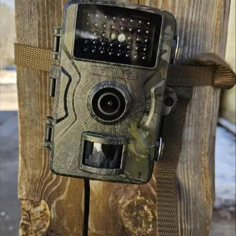 Wildcamera met nachtzicht en bewegingssensor