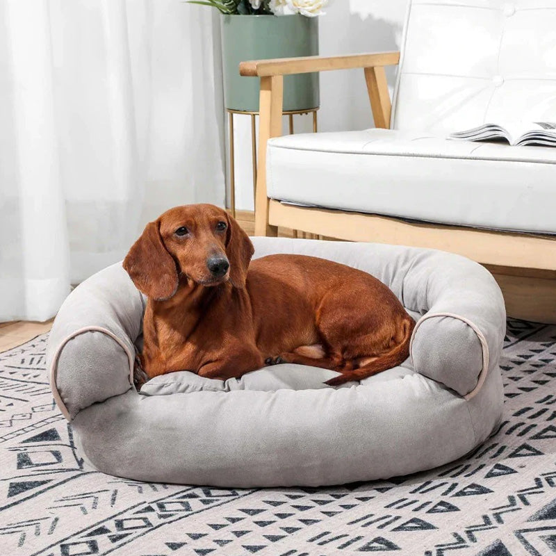 Comfortabele hondenbank met zachte bekleding