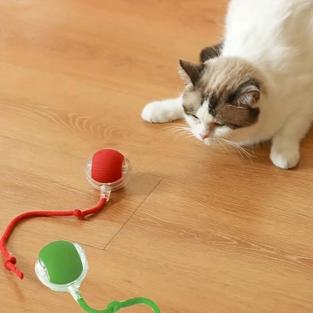Interactieve kattenbal met staart en usb-oplader