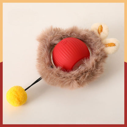 Interactieve kattenbal met staart en usb-oplader