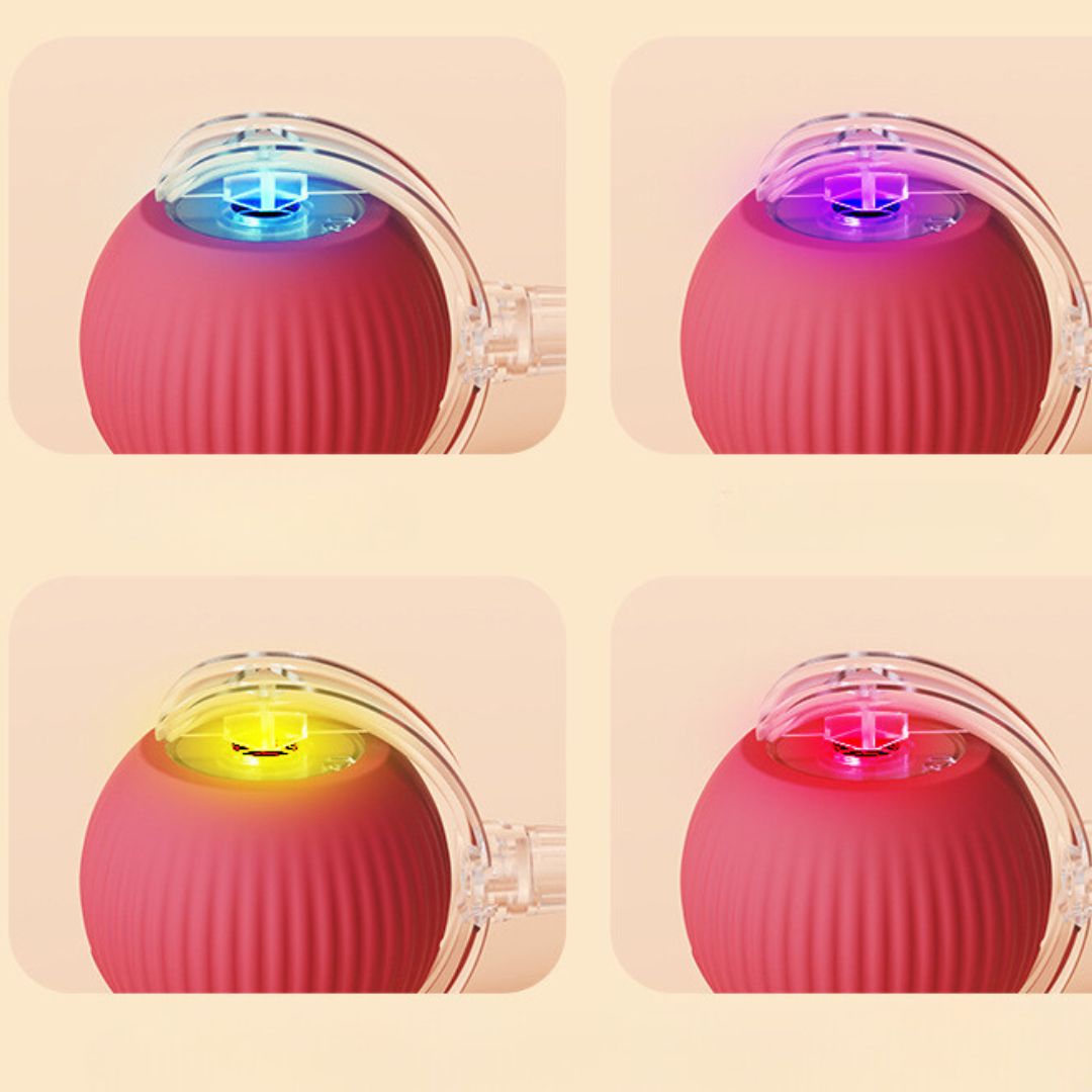 Interactieve kattenbal met staart en usb-oplader