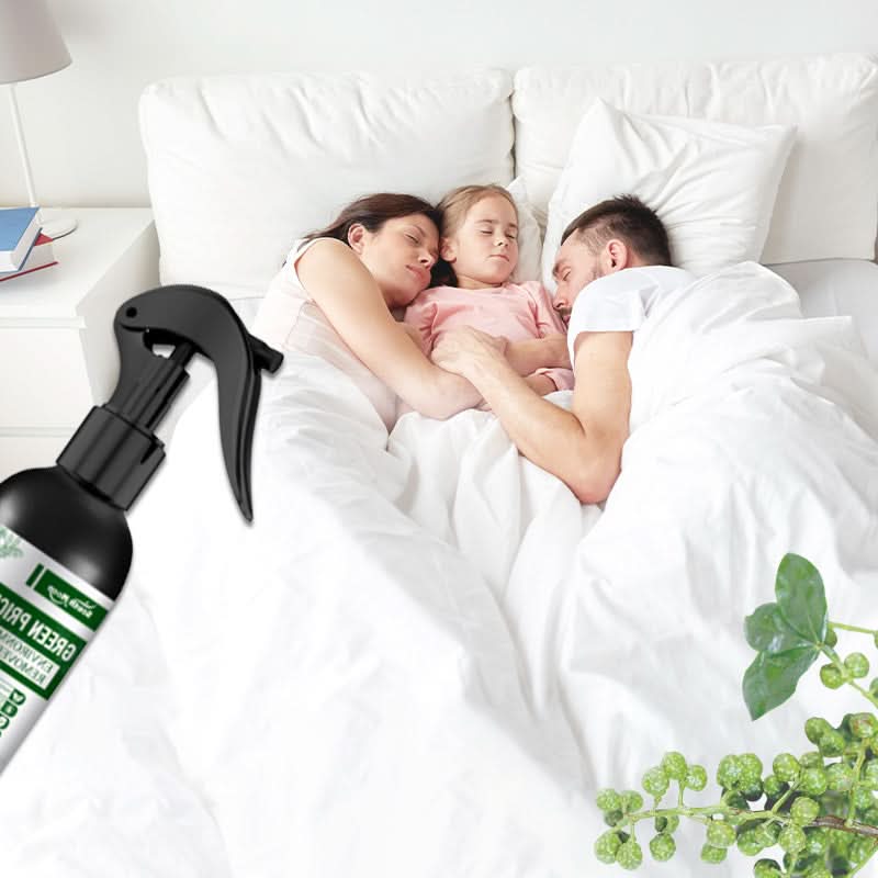 Krachtige mijtenverwijderaar spray van 100 ml