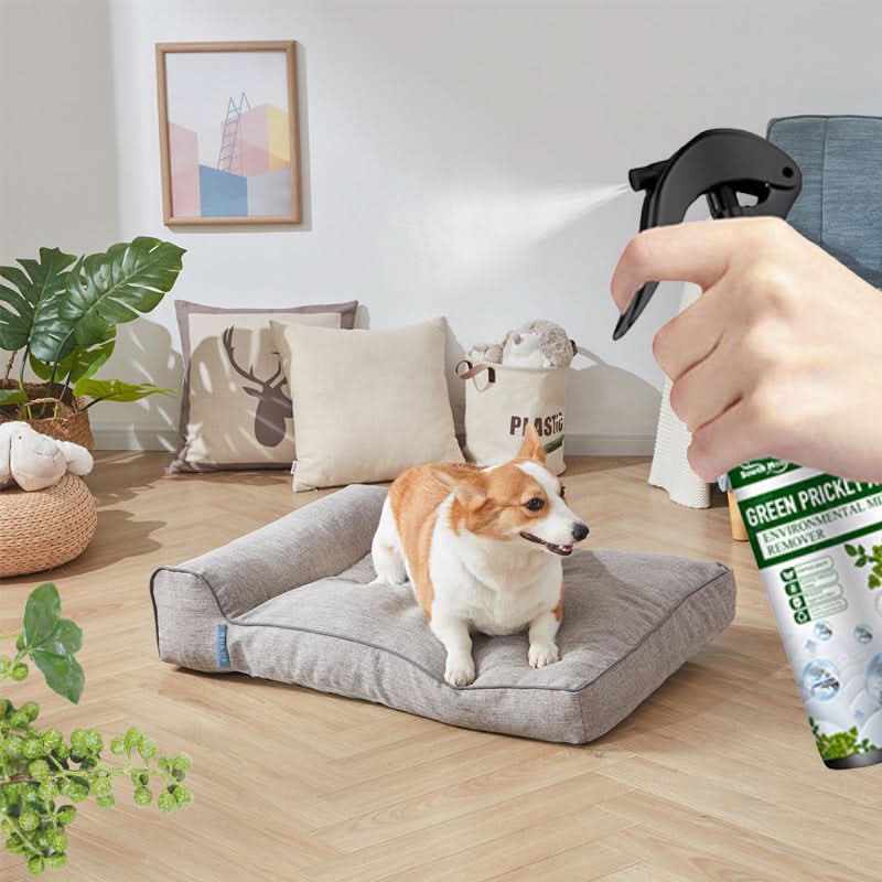 Krachtige mijtenverwijderaar spray van 100 ml