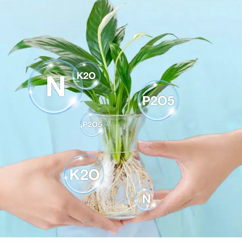 Hydroponische Voedingsoplossing voor Planten