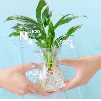 Hydroponische Voedingsoplossing voor Planten