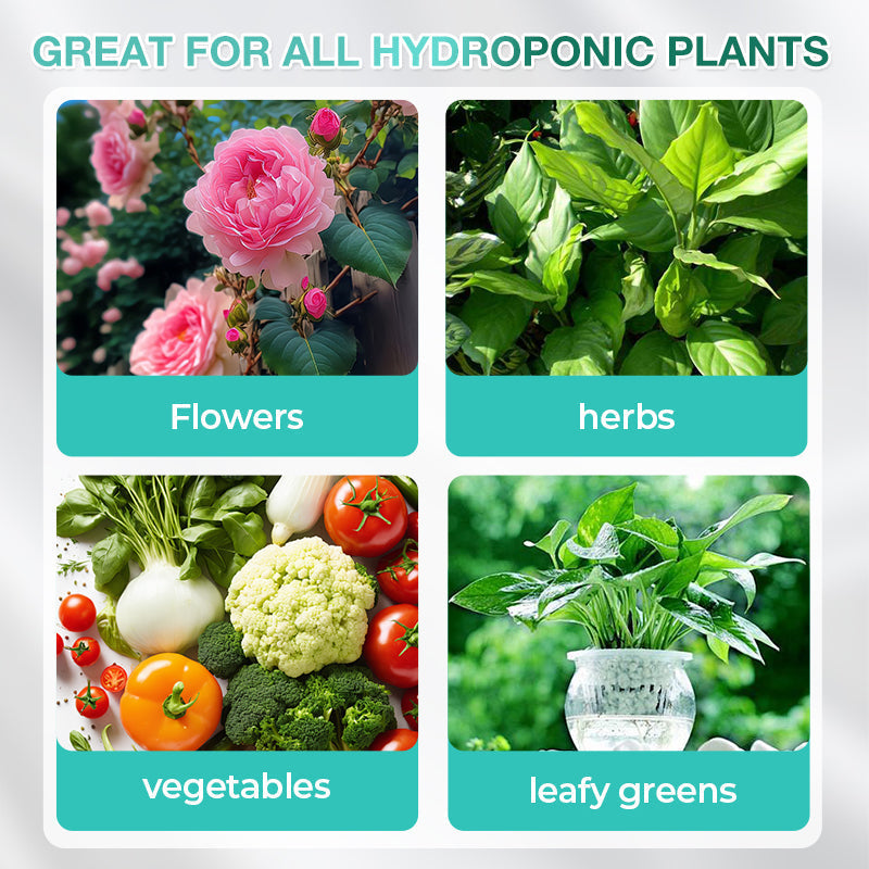 Hydroponische Voedingsoplossing voor Planten