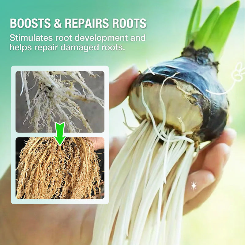 Hydroponische Voedingsoplossing voor Planten