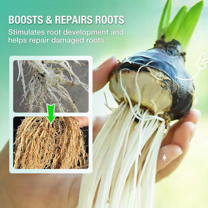 Hydroponische Voedingsoplossing voor Planten