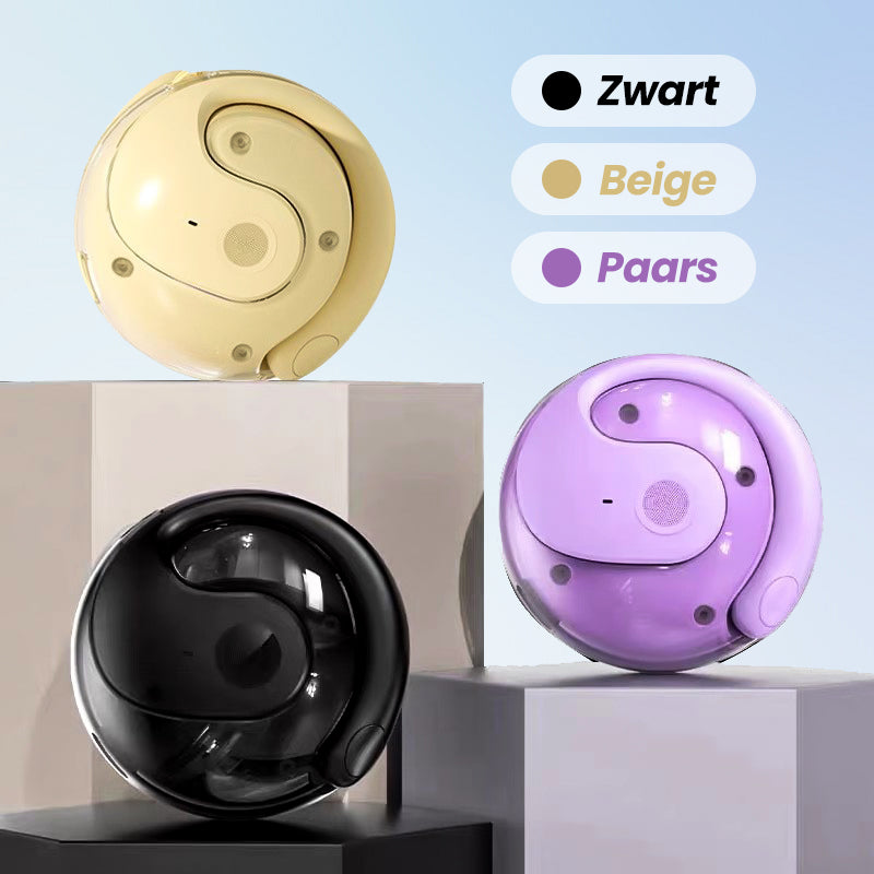 Draadloze bluetooth taalvertaler oordopjes met oplaadcase