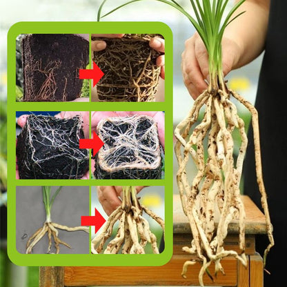 Snelwerkende wortelgroei meststof voor planten van 200 g