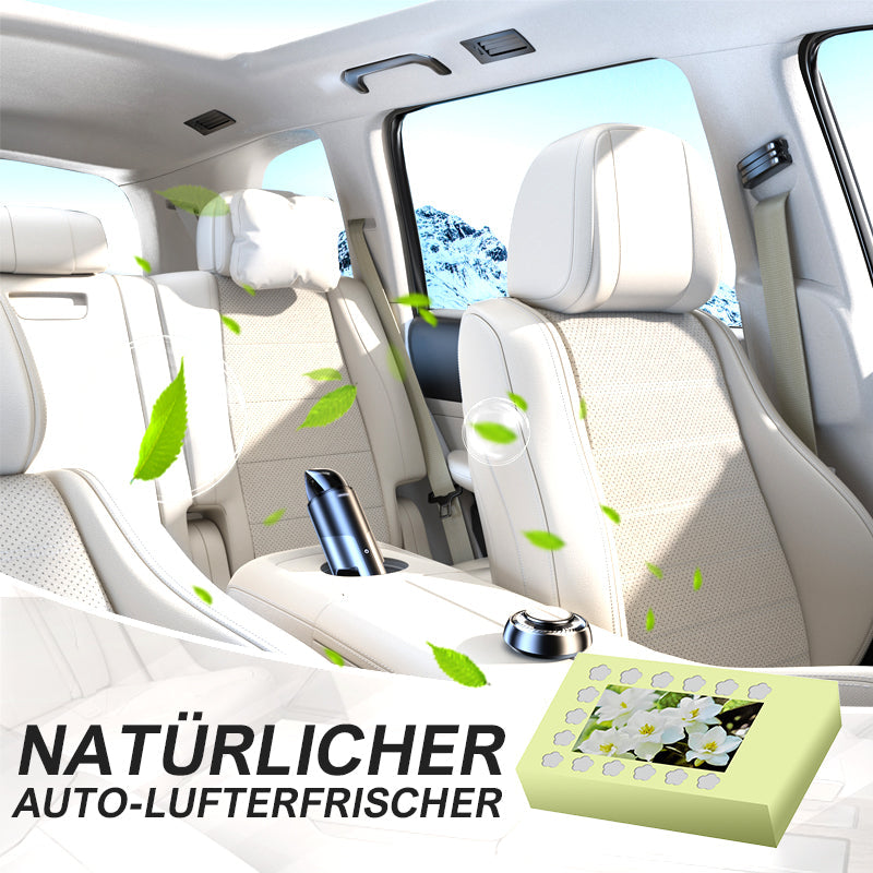 Natuurlijke auto-luchtverfrisser met vaste balsem | LN40313588A1