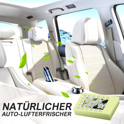 Natuurlijke auto-luchtverfrisser met vaste balsem | LN40313588A1
