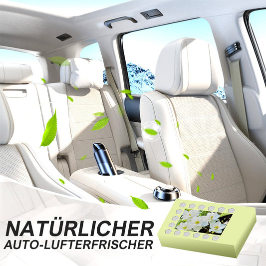 Natuurlijke auto-luchtverfrisser met vaste balsem | LN40313588A1