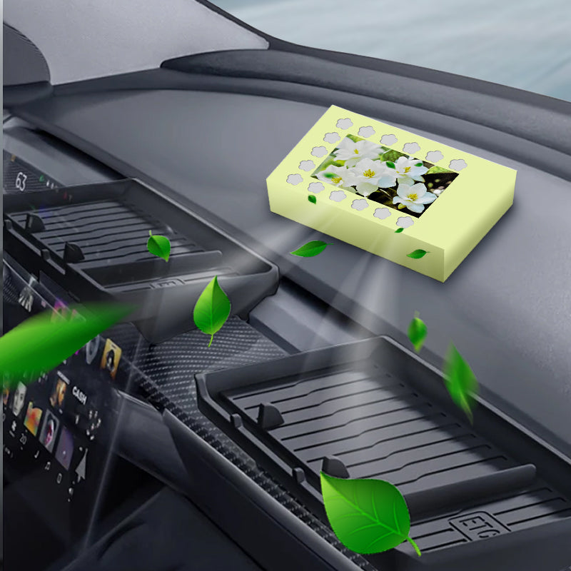 Natuurlijke auto-luchtverfrisser met vaste balsem | LN40313588A1