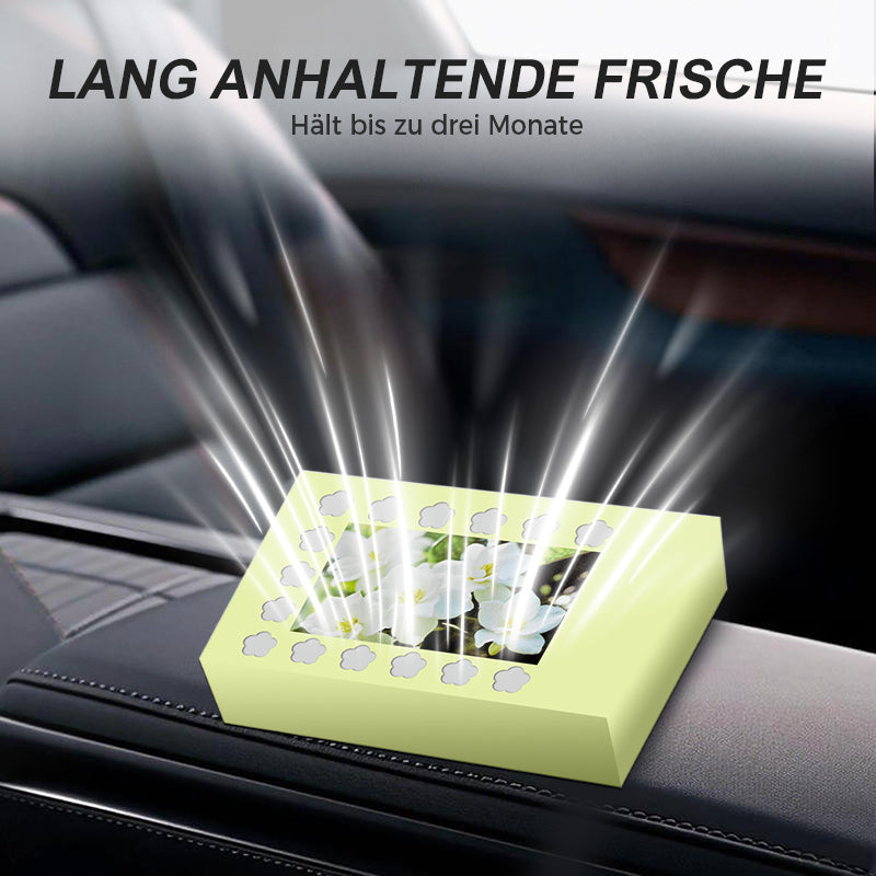 Natuurlijke auto-luchtverfrisser met vaste balsem | LN40313588A1