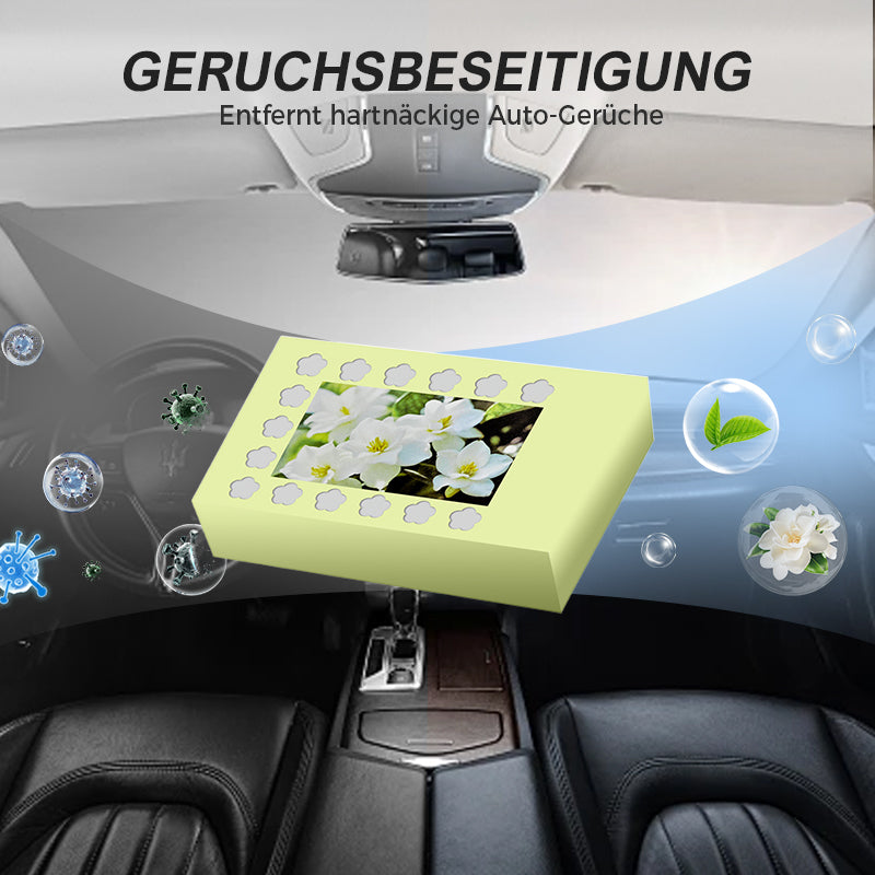 Natuurlijke auto-luchtverfrisser met vaste balsem | LN40313588A1