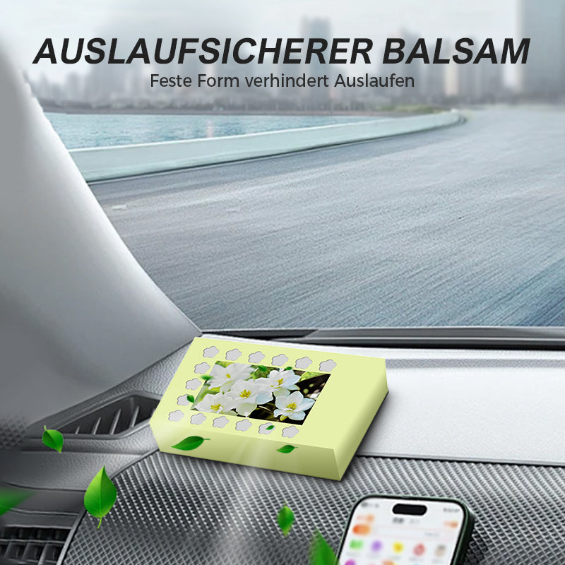 Natuurlijke auto-luchtverfrisser met vaste balsem | LN40313588A1